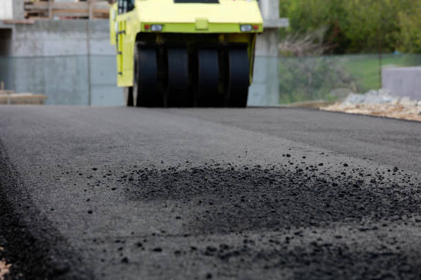 Best Local Driveway Pavers  in Prophetstown, IL