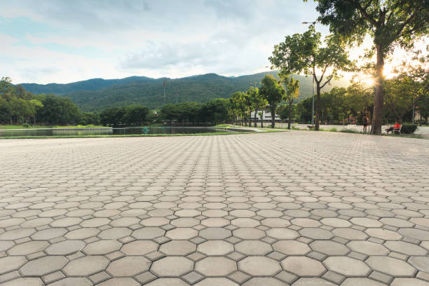 Best Driveway Pavers Contractor  in Prophetstown, IL