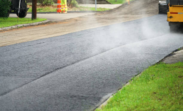 Best Local Driveway Pavers  in Prophetstown, IL